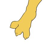  3_toes alpha_channel anthro bethesda_softworks claws felid female filthypally foot_focus foot_shot fur katia_managan khajiit mammal plantigrade prequel simple_background solo spread_toes the_elder_scrolls toe_claws toes transparent_background video_games webcomic yellow_body yellow_fur 