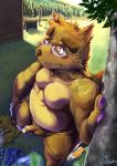  2020 anthro balls belly blush bottomwear brown_body brown_fur canid canine clothing detailed_background eyewear fur genitals glasses hi_res kemono kounosuke_(morenatsu) male mammal mesidukainumaru moobs morenatsu outside overweight overweight_male pants penis raccoon_dog solo tanuki undressing video_games visual_novel 