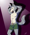 adult_teen anthro beastars boxers_(clothing) bulge canid canine canis clothed clothing genitals half-erect hi_res legoshi_(beastars) light lighting male mammal mohawkcorgi partially_clothed peeking_dick penis pubes simple_background solo tongue tongue_out underwear wolf 