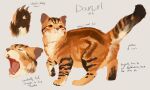 absurd_res ambiguous_gender black_body black_fur brown_body brown_fur domestic_cat fan_character felid feline felis feral fur hi_res mammal model_sheet multicolored_body multicolored_fur open_mouth solo tabby_cat tail tan_body tan_fur thrushppelt warriors_(book_series)