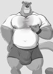 2020 5_fingers anthro areola belly big_belly big_bulge biped bodily_fluids bulge claws clothing cougar digital_drawing_(artwork) digital_media_(artwork) exercise felid feline finger_claws fingers greyscale grin huge_bulge ill-fitting_clothes male mammal mature_anthro mature_male monochrome musclegut muscular muscular_anthro muscular_male navel nipples pecs shirt smile solo standing sweat t-shirt tcw thick_thighs topwear underwear workout