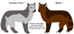 2015 aliasing ambiguous_gender black_nose black_text brother_(lore) brother_and_sister_(lore) brown_body brown_fur canid canine canis character_name digital_drawing_(artwork) digital_media_(artwork) digitigrade duo english_text female_(lore) female_symbol feral flat_colors frown fur gender_symbol green_eyes grey_body grey_fur grey_inner_ear grey_nose male_(lore) male_symbol mammal markings model_sheet paws riaka_(sebdoggo) ring_(marking) ringed_tail sar_(sebdoggo) sebdoggo sibling_(lore) simple_background sister_(lore) smile snout standing striped_markings striped_tail stripes symbol tail tail_markings text twins_(lore) white_background white_inner_ear wolf yellow_eyes
