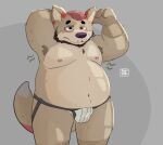 absurd_res anthro belly canid canine canis clothing coyote daddy_kink hi_res jim(tcayoti) jockstrap male mammal musk musk_clouds slightly_chubby slightly_chubby_male solo t_cayoti underwear