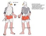 5_fingers aevris american_herring_gull anthro avian beak biped bird clothed clothing english_text eyebrows fingers gull herring_gull lari larid male model_sheet solo text topless topless_anthro topless_male underwear underwear_only xantho_(aevris)