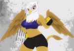  anthro avian beak bottomwear breasts brown_body brown_fur clothing detailed_background female fluffy fluffy_tail friendship_is_magic fur gilda_(mlp) gloves handwear multicolored_body multicolored_fur muscular muscular_female my_little_pony q_wed shorts solo two_tone_body two_tone_fur white_body white_fur wings yellow_eyes 