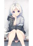  1girl antenna_hair between_legs blue_eyes cat chin_rest dennou_shoujo_youtuber_siro english_text eyebrows_visible_through_hair feet_out_of_frame grey_background grey_sweater hand_between_legs highres hood hood_down hoodie knees_together_feet_apart looking_at_viewer nijihashi_sora off_shoulder signature silver_hair siro_(dennou_shoujo_youtuber_siro) sitting smile socks solo sweater virtual_youtuber white_cat white_legwear 