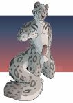  2020 anthro balls countershading felid fur genitals gesture graffstache grey_body grey_fur hi_res kneeling looking_at_viewer male mammal nude pantherine penis pinup pointing pointing_at_self pose simple_background snow_leopard solo spots whiskers white_countershading 