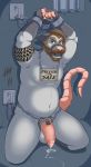  absurd_res anthro balls beard belly bodily_fluids chain chained facial_hair fur genitals grey_balls grey_body grey_ears grey_fur hair hi_res inside looking_at_viewer male mammal marsupial metal_chain morhlis navel nipples penis phalangeriform saliva shackles solo sweat vein 