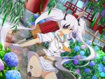  1girl bag bamboo_fence blue_flower blush breasts bush buttons dutch_angle eyepatch fence flower forest gloves hair_ornament highres holding kunai large_breasts long_hair looking_at_viewer nature navel official_art pillar pink_flower rain red_eyes reflection sailor_collar satchel senran_kagura senran_kagura_new_link shirt shuriken skirt solo temple thighhighs tree twintails umbrella water_drop weapon white_gloves white_hair white_shirt yaegashi_nan yagyuu_(senran_kagura) 