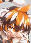  2020 :3 amber_eyes anthro arknights black_body black_fur black_hair clothed clothing cute_fangs eyewear felid female fingers fur glasses hair hi_res horokusa0519 looking_at_viewer mammal multicolored_body multicolored_fur multicolored_hair orange_body orange_fur orange_hair pantherine short_hair slit_pupils tiger video_games waaifu white_body white_fur white_hair 