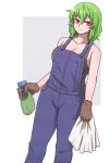  absurdres bottle breasts cleavage gloves green_hair highres kazami_yuuka mata_(matasoup) overalls red_eyes spray_bottle touhou towel 