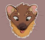  2020 ambiguous_form ambiguous_gender blep brown_body brown_fur cheek_tuft facial_tuft fur head_tuft headshot_portrait inner_ear_fluff kebi kebi_(character) mammal marten mustelid musteline notched_ear pine_marten portrait simple_background solo tongue tongue_out tuft whiskers 