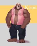  2020 anthro barmaku belly bottomwear brown_body brown_fur clothing fur hi_res hoodie humanoid_hands male mammal navel overweight overweight_male pants simple_background solo text topwear ursid 