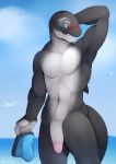  anthro blush cetacean clothing delphinoid genitals hi_res jyan_nashson male mammal marine nude oceanic_dolphin orca penis sea shy solo spinal22 toothed_whale underwear water 