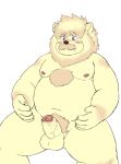  2020 anthro balls belly blush felid fur genitals hi_res kemono lion male mammal moobs navel nipples overweight overweight_male pantherine penis reddo12340 simple_background sitting solo white_background white_body white_fur 