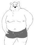  2020 4:5 anthro belly bulge canid canine canis clothing domestic_dog hi_res humanoid_hands kemono male mammal monochrome moobs navel nipples overweight overweight_male pommn_mn simple_background solo underwear white_background 