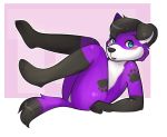  anthro blush canid canine canis cute_face domestic_dog elkhound floppy_ears legs_up looking_at_viewer male mammal pawalo pawprint_marking shy solo spitz uniamoon 