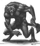  canid canine chronicles_of_darkness claws efrem_palacios greyscale illustration male mammal monochrome muscle_vein muscular nude open_mouth signature solo teeth vein were werecanid werecanine werewolf werewolf_the_forsaken white_wolf_publishing 