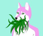  anthro canid canine eyebrows eyelashes female fur green_eyes inner_ear_fluff mammal open_mouth pink_body pink_fur snout solo teeth teeth_showing tentacles tuft unknown_artist 