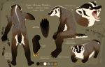  american_badger anthro badger claws english_text feral male mammal model_sheet mustelid musteline shadowwolf solo teeth text 