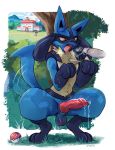  2020 animal_genitalia animal_penis anthro balls blue_body blue_fur bodily_fluids canid canine canine_penis crouching darkluxia detailed_background drooling erection fur genital_fluids genitals hi_res knot lucario male male/male mammal nintendo open_mouth oral penis pok&eacute;ball pok&eacute;mon pok&eacute;mon_(species) precum precum_drip red_eyes saliva saliva_on_penis saliva_on_tongue saliva_string solo_focus tailwag teeth tongue tongue_out video_games 