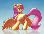  absurd_res anus blue_background butt chromaskunk clitoris cutie_mark dock equid equine eyelashes feral fluttershy_(mlp) friendship_is_magic genitals hi_res looking_at_viewer mammal my_little_pony pegasus pussy selenophile simple_background smile solo wings 