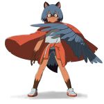  1:1 anthro black_body black_fur black_hair black_nose blue_body blue_eyes blue_feathers blue_fur blue_hair brand_new_animal brown_body brown_fur canid canine clothed clothing feathered_wings feathers female fingers fluffy fluffy_tail footwear fur hair hi_res humanoid_face hybrid mammal michiru_kagemori multicolored_body multicolored_fur multicolored_hair raccoon_dog shoes smile species_transformation standing studio_trigger tanuki topwear transformation tzc_(pixiv) wings 