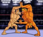  2022 abs anthro archie_comics balls biceps big_muscles blonde_hair bodily_fluids brown_body bulge canid canine canis clenched_teeth clothing digital_drawing_(artwork) digital_media_(artwork) dingo dingo_(sonic_underground) duo duo_focus feet fight fighting_ring foreskin genitals group hair hand_holding helmut_von_stryker hi_res humanoid_genitalia hunter-husky male male/male mammal muscular muscular_anthro muscular_male nipples nude nude_fight orange_body pecs penis sega sonic_the_hedgehog_(archie) sonic_the_hedgehog_(comics) sonic_the_hedgehog_(series) sonic_underground sweat teeth wrestler wrestling 