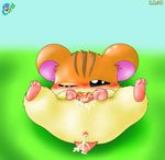  curby hamtaro sandy tagme 