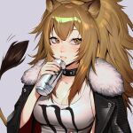  1girl animal_ears arknights arm_at_side black_collar black_jacket black_nails breasts brown_eyes brown_hair buttons can cleavage collar double-parted_bangs drink_can fur-trimmed_collar fur-trimmed_jacket fur_trim grey_background hand_up highres holding holding_can jacket jacket_on_shoulders lapels lavelis lion_ears lion_girl lion_tail lips long_hair looking_to_the_side medium_breasts monster_energy nail_polish parted_lips ponytail print_shirt raised_eyebrows shirt sidelocks siege_(arknights) simple_background soda_can solo spaghetti_strap studded_collar tail three_quarter_view unkempt upper_body white_shirt wide_ponytail 