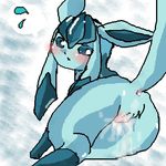  glaceon pokemon tagme 