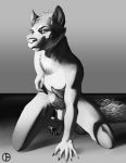  2020 4_toes 5_fingers animal_genitalia anthro balls barefoot biped canid canine canis claws dbruin digital_media_(artwork) fingers fully_sheathed genitals greyscale kneeling looking_at_viewer male mammal monochrome nude pubes sheath smile solo toe_claws toes wolf 