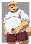  2020 anthro belly black_nose blush bottomwear canid canine canis clothing domestic_dog erection frenulum genitals hi_res humanoid_hands kemono kick_(artist) male mammal masturbation overweight overweight_male penis retracted_foreskin shirt shorts simple_background solo topwear uncut 