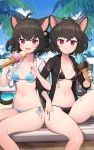  animal_ears bikini blade_&amp;_soul nekomimi swimsuits tagme 