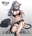  1girl absurdres animal_ear_fluff animal_ears arknights arm_support bag bangs bare_legs bare_shoulders black_scarf black_shorts breast_grab breasts cat_ears cat_tail chinese_commentary cleavage commentary_request copyright_name crop_top feet_out_of_frame fishnets grabbing gradient gradient_background grey_background guangsupaomian hair_between_eyes hand_up highres jacket large_breasts long_hair looking_at_viewer midriff navel off_shoulder open_clothes open_fly open_jacket panties scarf schwarz_(arknights) see-through self_fondle shadow short_shorts shorts silver_hair sitting solo stomach tail thigh_strap thighs underwear white_background yellow_eyes 