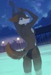  2020 anthro bathing bikini butt butt_pose canid canine canis clothing darkflamewolf female hi_res mammal murana_wolford_(darkflame-wolf) night partially_submerged pose solo swimming_pool swimwear vystis water wolf 