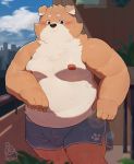  2020 absurd_res anthro belly blush bulge canid canine canis clothing detailed_background domestic_dog hi_res humanoid_hands kemono male mammal moobs nipples overweight overweight_male piero03432812 solo underwear 