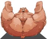  2020 anthro anus arufina_w balls belly blush brown_body brown_fur butt fur genitals humanoid_hands kemono male mammal overweight overweight_male penis simple_background small_penis solo ursid 