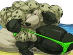  2019 4_toes 5_fingers absurd_res anthro balls beach big_balls big_muscles big_penis clothing deliquent_hair erection fierglief fingers genitals green_eyes hair hi_res holding_object huge_balls huge_muscles huge_penis hyaenid hyper hyper_balls hyper_genitalia hyper_muscles hyper_penis looking_at_viewer male mammal muscular nipples penis plantigrade sea seaside simple_background smile solo stretched_clothing toes underwear water white_background 