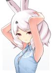  1girl animal_ear_fluff animal_ears arctic_hare_(kemono_friends) armpits arms_up blue_shirt bra bra_peek breasts bunny_ears commentary_request dl2go expressionless eyebrows_visible_through_hair highres kemono_friends medium_hair red_eyes shirt simple_background sleeveless sleeveless_shirt small_breasts solo underwear upper_body white_background white_hair wing_collar 