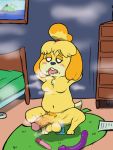  absurd_res anal anal_masturbation anal_penetration animal_crossing anthro balls bayjaw bedroom_setting canid canine canis crossgender crouching domestic_dog ftg_crossgender fti_crossgender genitals gynomorph hi_res humanoid_genitalia humanoid_penis intersex isabelle_(animal_crossing) mammal masturbation nintendo penetration penis shih_tzu slightly_chubby solo tongue tongue_out toy toy_dog toying_self video_games 