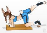  anthro athletic big_breasts bottomwear breasts clothed clothing female fur hair hi_res lagomorph leporid looking_at_viewer mammal rabbit shorts simple_background smile solo sportswear stretching woolrool yoga yoga_pants 