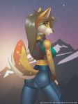  2020 anthro breasts brown_hair butt_pose canid canine clothed clothing detailed_background digital_media_(artwork) eyebrows eyelashes female fox hair hi_res mammal night outside piranha_fish pose sky solo star starry_sky 
