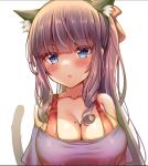  1girl animal_ear_fluff animal_ears bare_shoulders black_shirt blue_eyes blush bra bra_strap breasts brown_hair cat_ears cat_girl cat_tail cleavage close-up collarbone extra_ears fake_animal_ears hair_ribbon hairband kaptivate kemonomimi_mode large_breasts long_hair looking_at_viewer mole mole_on_breast new_game! off-shoulder_shirt off_shoulder parted_lips ponytail red_bra ribbon shirt sidelocks simple_background slit_pupils solo tail tail_raised takimoto_hifumi underwear upper_body white_background 
