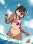  anthro bikini blue_eyes bottomless breasts brown_hair clothed clothing dirtypawz_(artist) dyed-hair female genitals hair hi_res lutrine mammal meikiko_romanova_(dirtypawz) mustelid navel open_mouth outside pussy sea skimpy sky small_breasts solo sun swimwear water 