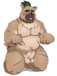  2020 absurd_res anthro balls belly blush canid canine canis domestic_dog erection genitals hi_res humanoid_genitalia humanoid_hands humanoid_penis kemono male mammal moobs nipples overweight overweight_male penis reddo12340 simple_background solo tokyo_afterschool_summoners tongue tongue_out video_games white_background yasuyori 