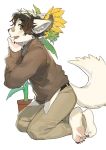  anthro bandage belt black_hair blush bottomwear brown_eyes canid canine claws clothing crouching ear_tuft fangs feet flower fox hair hindpaw hkl9917462 humanoid male mammal pants paws plant pose shirt solo sunflower topwear tuft white_tail 