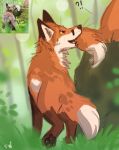  2020 canid canine digital_media_(artwork) feral flashlioness fox fur mammal orange_body orange_fur 