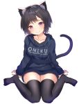  1girl animal_ears black_hair black_legwear breasts cat_ears cat_girl cat_tail full_body hood hoodie long_sleeves monochrome_background no_pants original purple_eyes rk_(rktorinegi) short_hair simple_background sitting smile tail thighhighs wariza white_background zettai_ryouiki 