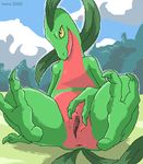  anus female feral grovyle hindpaw irene lizard mountain nintendo nude outside paws pok&#233;mon pokemon presenting pussy reptile scalie sitting soles solo spread_legs spreading toes two_toes video_games 